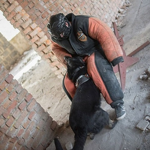 Dog protection Bite suit for Sale