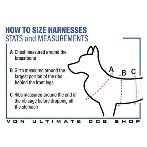 Ray Allen Nomad Harness™ Frame With GT Cobra Buckles1
