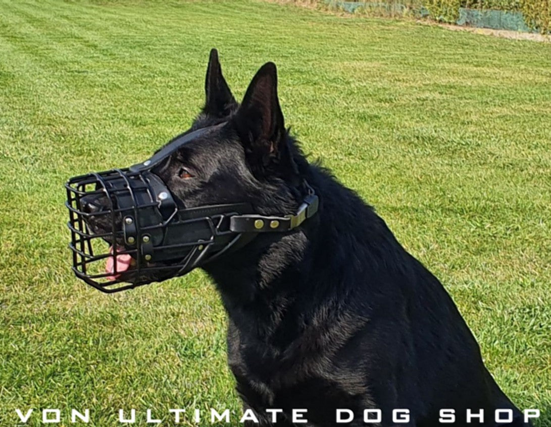 Dingo Gear K9 German Shepherd Heavy Duty Muzzle