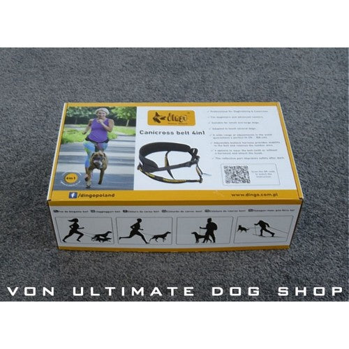Dingo Gear 4 in 1 Running Belt with Lead Suspension1