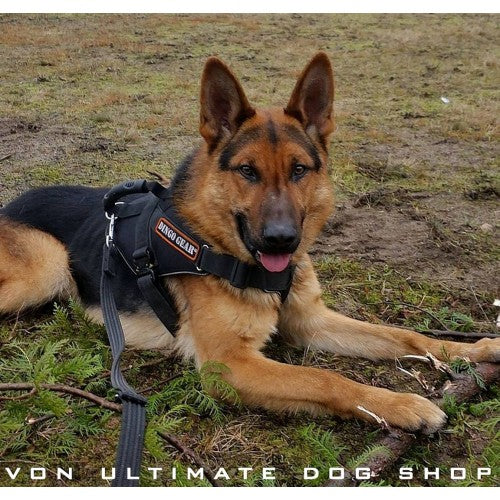 extreme dog gear Dingo Gear Extreme Heavy Duty Harness Cobra System
