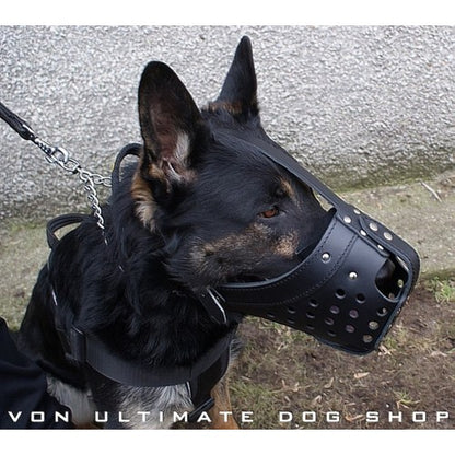 Dingo Gear Leather Muzzle1