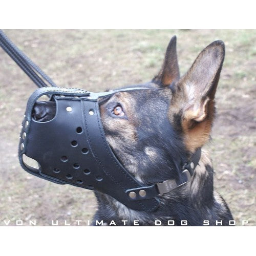 Dingo Gear Leather Muzzle2