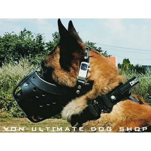 Dingo Gear Leather Muzzle3