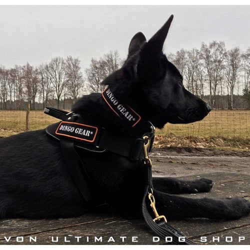 dingo gear maulkorb Dingo Gear Multi Purpose Harness