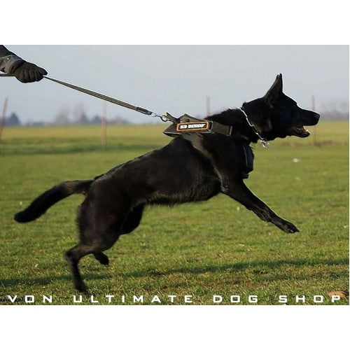 Dingo Gear Multi Purpose Harness4