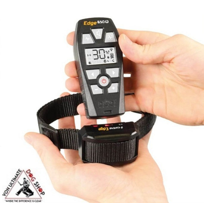 DogTrace D-control Edge 650R with ring controller