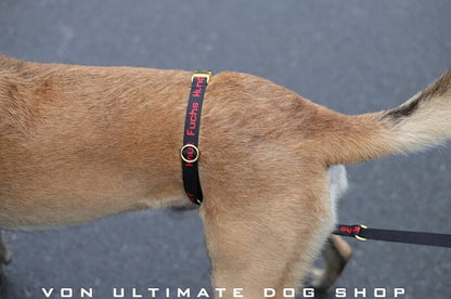 Knut Anddog Knut Fuchs Dog Waist Belt