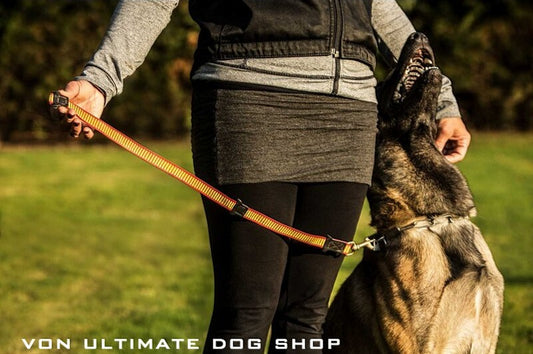 Knut Fuchs Training Obedience Lead