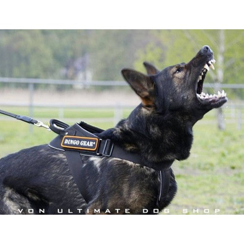 Dingo Gear Harness Cobra System-5