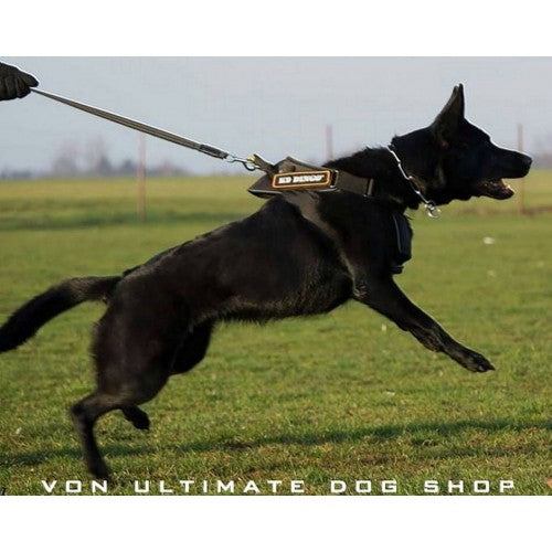 Dingo Gear Harness Cobra System-6