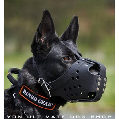 Dingo Gear Leather Muzzle4