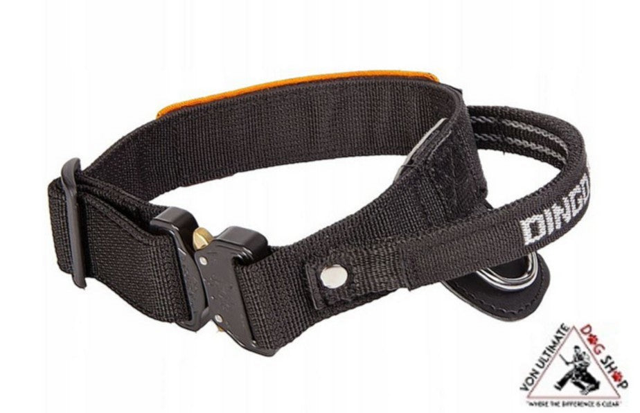 Dingo Gear Cobra Collar With Handle