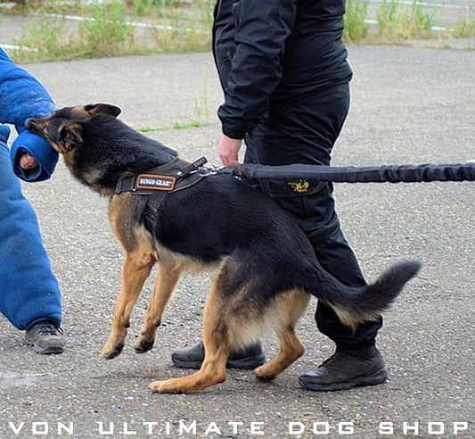 Dingo Gear Tie Back Rubber Absorber