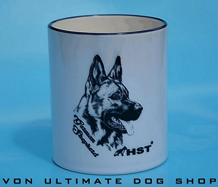 HST Ceramic Mug