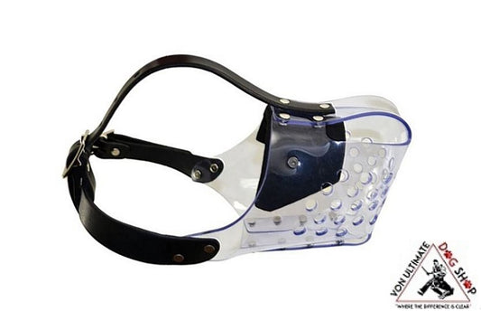 Ray Allen Clear Muzzle