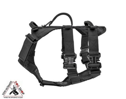 Ray Allen Nomad Harness™ Frame With GT Cobra Buckles