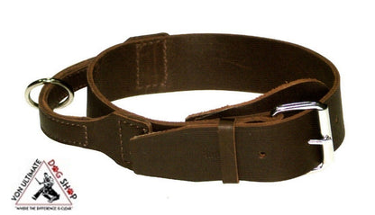 Dingo Gear 5.0cm Leather Collar With Handle