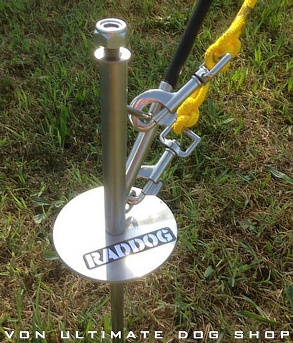 flex pole dog training